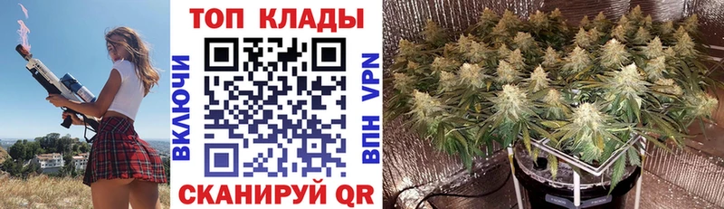 Купить закладку Власиха Псилоцибиновые грибы  COCAIN  Меф мяу мяу  ГАШ 