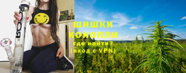 индика Мегион
