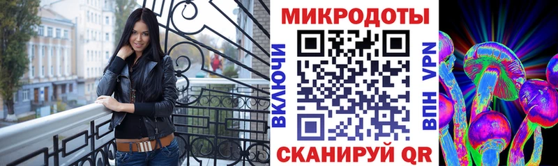 Галлюциногенные грибы Psilocybine cubensis  Власиха 